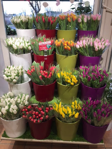 Le Jardin des Fleurs (ancien Florethau) - Sète