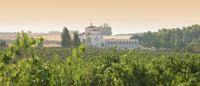 Photos of Bodegas Toribio