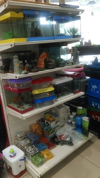 Beylikdüzü Petshop Alpemir Petshop Akvaryum