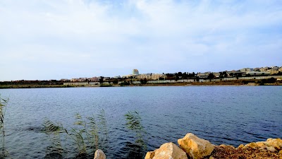 Photos of Pasteur Institute of Algeria
