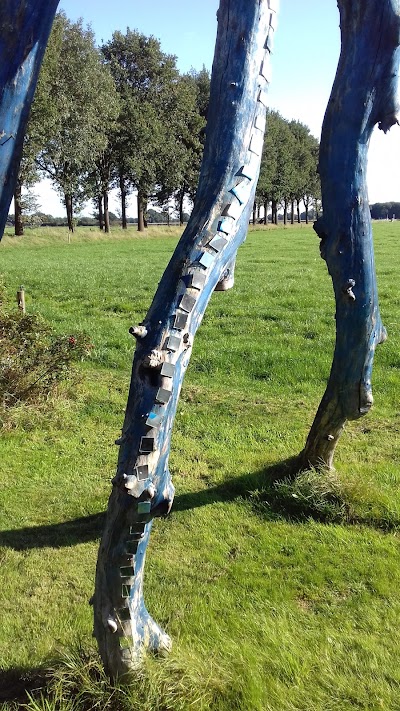 Photos of Camperplaats De Kalverweide