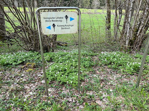 Parkplatz Laisental - Thumbnail