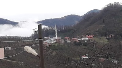 Tirebolu İmam Hatip Lisesi Ek Binası