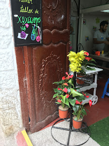 Hojita Verde Moquegua 4