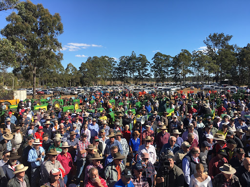Bundaberg Auctions Australia Wide - Matt Beer