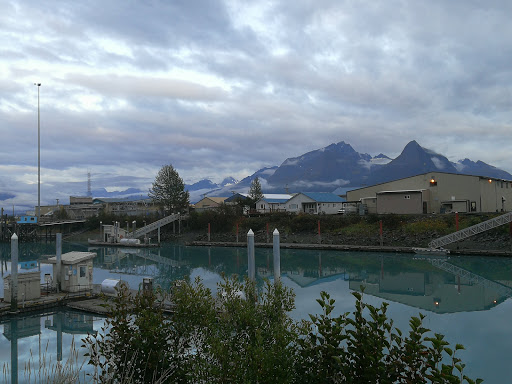 Valdez Parks & Recreation - Thumbnail