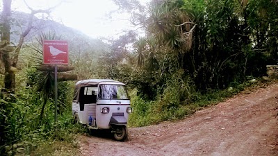 Photos of Rumi Wilco Ecolodge-Caba&ntilde;as