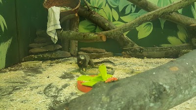 Photos of Claws 'n' Paws Wild Animal Park