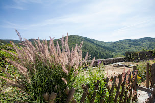 Photo n°15 de Le Mimentois à Cassagnas (Chambre d'hôtes)