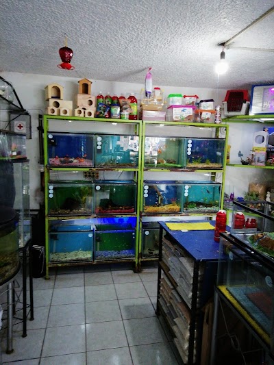Photos of Acuario del Parque
