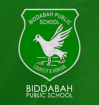 Biddabah Public School newcastle