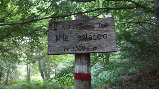 Monte Testaccio - Visual