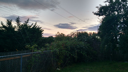 Orchards Green - Visual