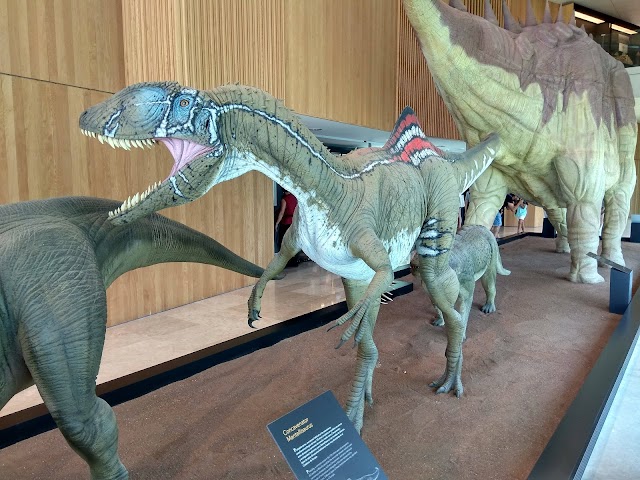 Museo Paleontológico de Castilla-La Mancha.Cuenca