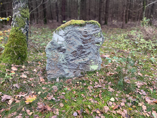 Rolfsener Steinkiste - Thumbnail