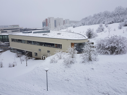 Institute of Forensic Medicine at the University Hospital Jena - Thumbnail