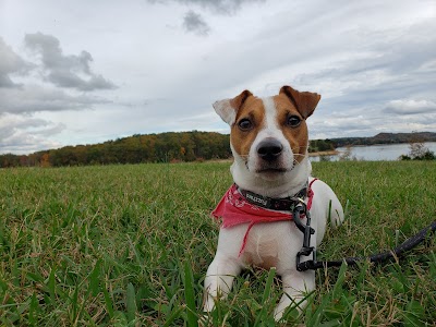 Grainger County Park Boat Launch