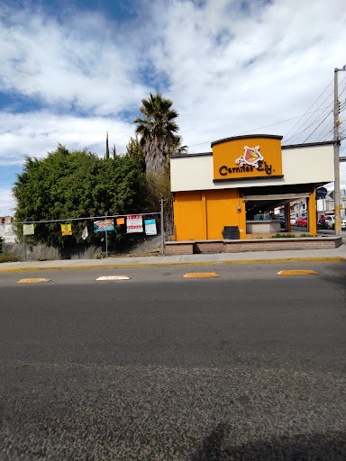 Carnitas Ely. - Visual