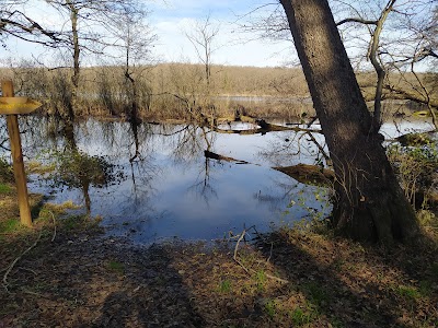 İğneada Floodplain Forests National Park