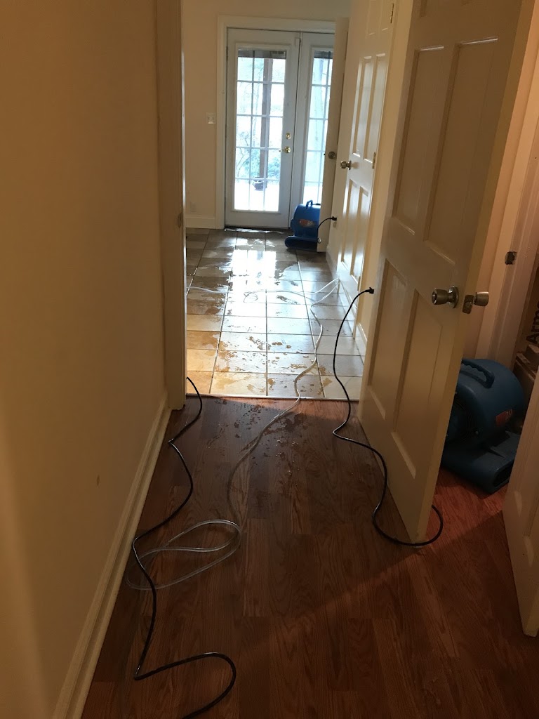 Access Restoration & Cleaning photo