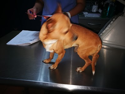 Photos of Pet Market Express
