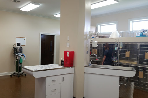 Family Pet Animal Hospital - Thumbnail