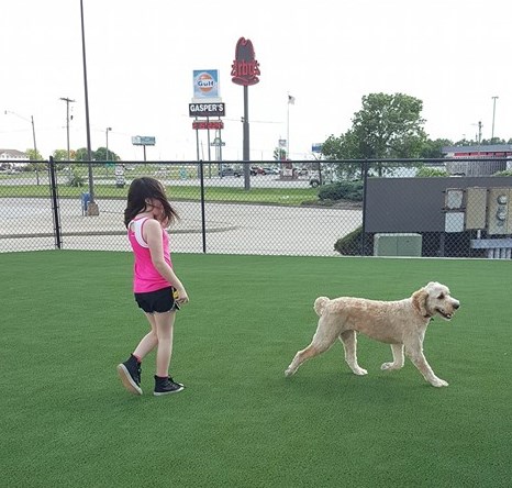 FastLane Pup Park - United States