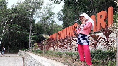 Photos of Taman Gunung Sari