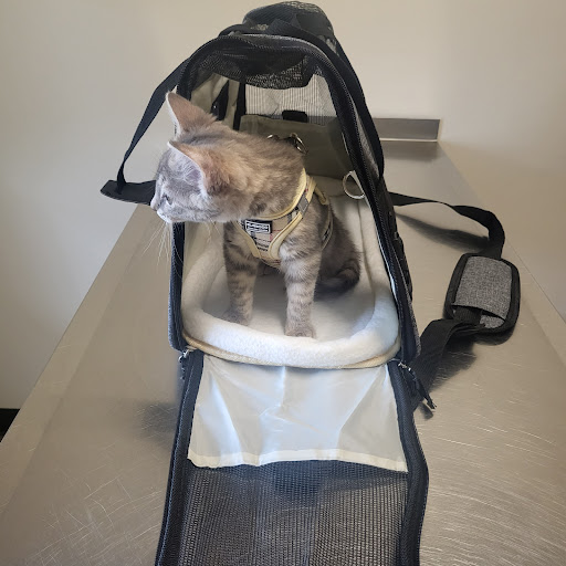 Valley West Veterinary Hospital - Thumbnail