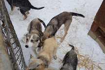 Nature's Kennel Sled Dog Racing and Adventures, McMillan, United States