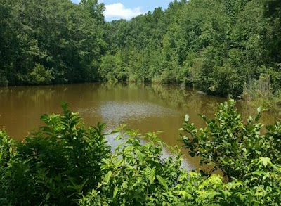 Photos of Tuskegee National Forest