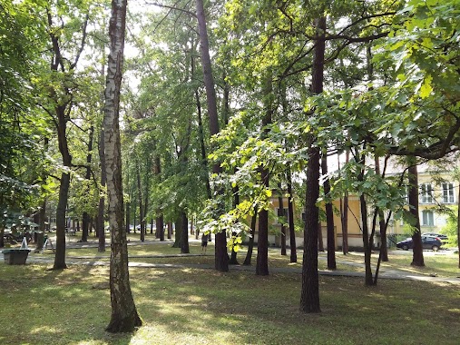 Mazowieckie Centrum Rehabilitacji STOCER, Author: Andrzej Małek