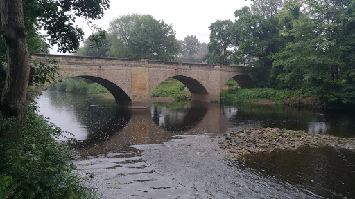 Bridge Road - Visual
