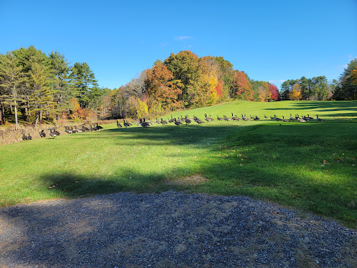 Willowdale Golf Club - Thumbnail