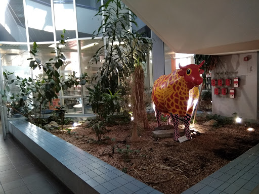 Médiathèque Centrale De Perpignan - Thumbnail