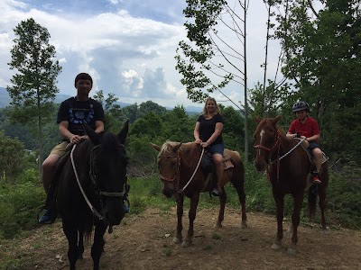 Photos of Dutch Creek Trails