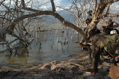 Photos of Isla Cabritos