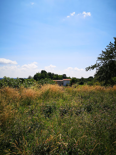 Barzana - Via Marconi (Chiesa) - Thumbnail
