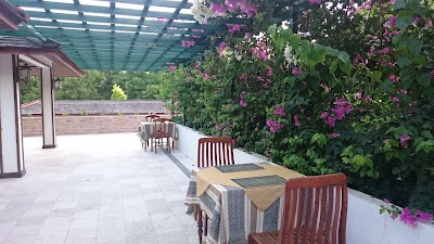 Photos of Thazin Garden Hotel Bagan