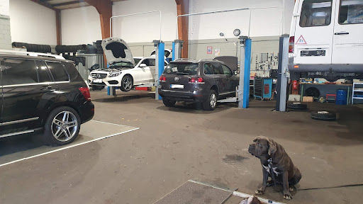ENZO'S AUTOMOBILTECHNIK Gallery - Germany