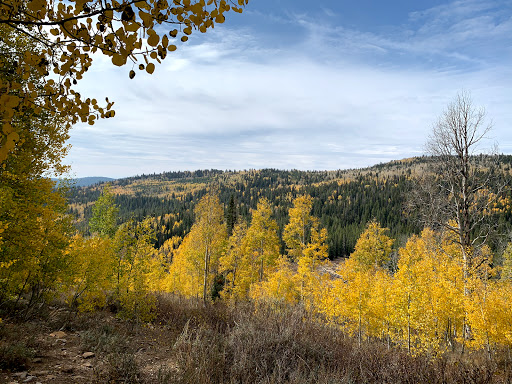 Bridger Peak Trailhead