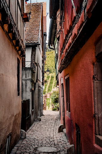 Photo 5 - D'Brendelstub - Restaurant Riquewihr, Alsace [JL BRENDEL]