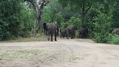 Photos of Thawale Tented Camp