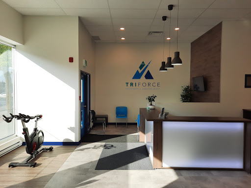 Triforce Physio - Visual