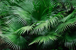 Photo n°62 de Vendredi à Clichy (Bar)