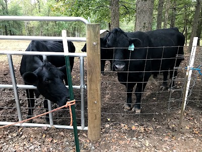 Cherry Place Farm