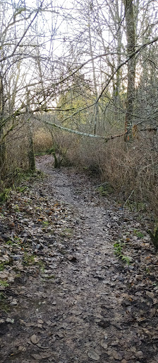 Bates Trail - Visual