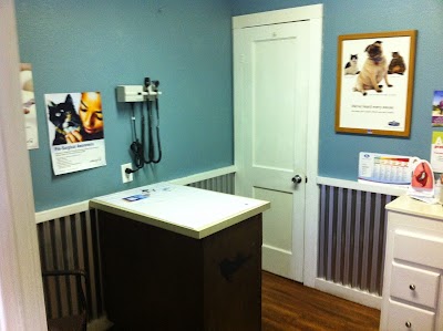 Animal Medical of Salado