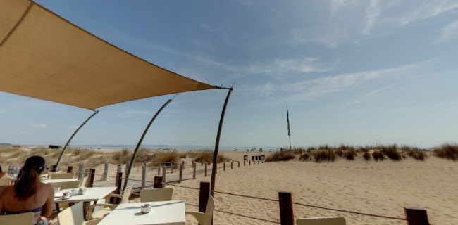 lindabeachbar.com