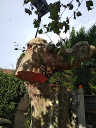 Photo n°23 de L'Arbre à Soie à Vienne-en-Val (Paysagiste)